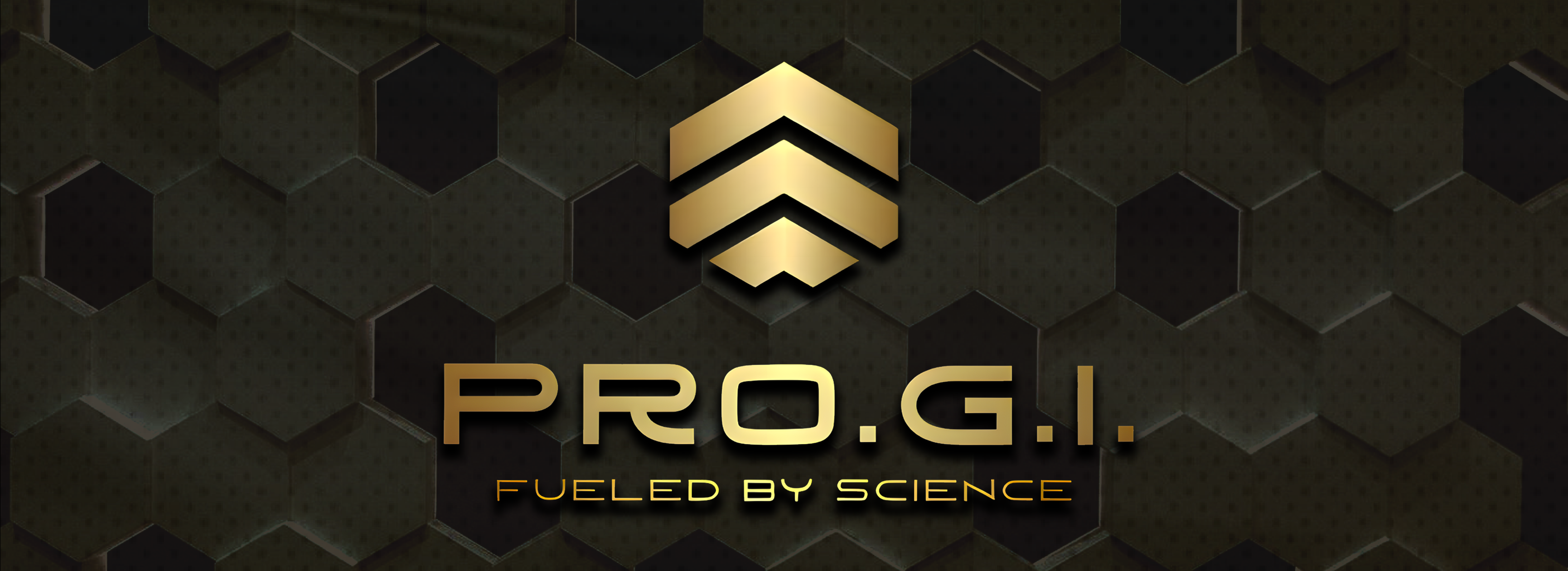 Pro.G.I. Premium Protein Ball